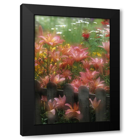 PA, Double exposure of lilies and fence in garden Black Modern Wood Framed Art Print by Rotenberg, Nancy