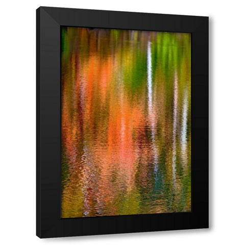 PA, Delaware Watergap Autumn reflect on water Black Modern Wood Framed Art Print with Double Matting by OBrien, Jay
