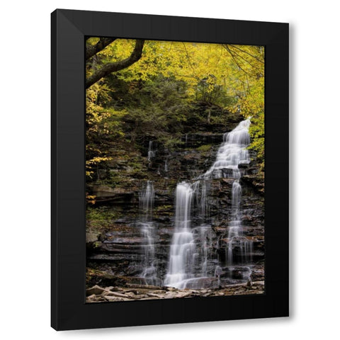 Pennsylvania Waterfall in Ricketts Glen SP Black Modern Wood Framed Art Print by OBrien, Jay