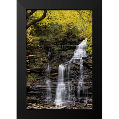 Pennsylvania Waterfall in Ricketts Glen SP Black Modern Wood Framed Art Print by OBrien, Jay