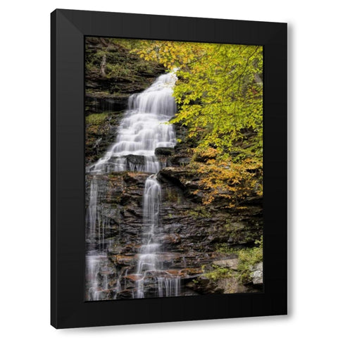 Pennsylvania Waterfall in Ricketts Glen SP Black Modern Wood Framed Art Print with Double Matting by OBrien, Jay