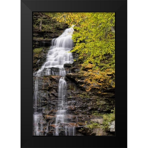 Pennsylvania Waterfall in Ricketts Glen SP Black Modern Wood Framed Art Print by OBrien, Jay