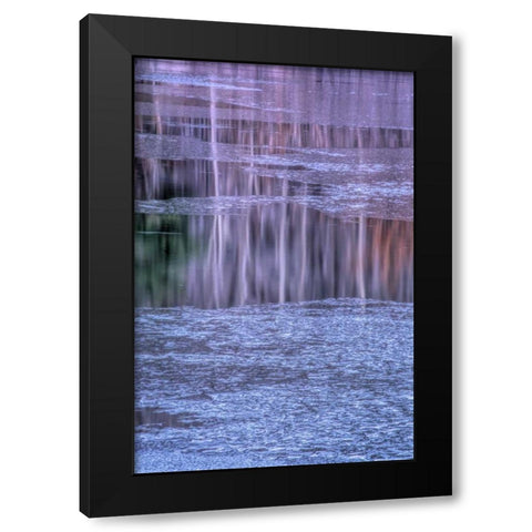PA, Delaware Water gap NRA Tree reflection Black Modern Wood Framed Art Print by OBrien, Jay
