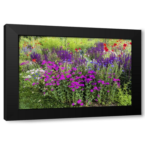 USA, Pennsylvania Summer flowers Black Modern Wood Framed Art Print with Double Matting by OBrien, Jay