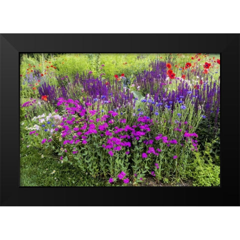 USA, Pennsylvania Summer flowers Black Modern Wood Framed Art Print by OBrien, Jay