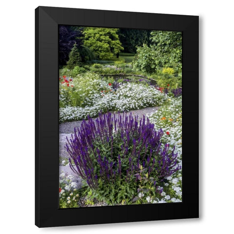 USA, Pennsylvania Summer flowers Black Modern Wood Framed Art Print with Double Matting by OBrien, Jay