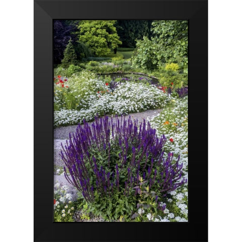 USA, Pennsylvania Summer flowers Black Modern Wood Framed Art Print by OBrien, Jay