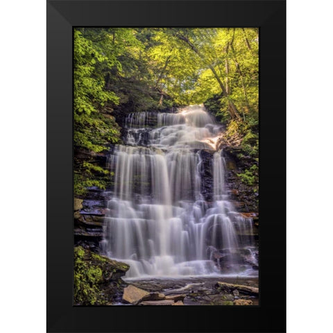 PA, Benton, Ricketts Glen SP Ganoga Falls Black Modern Wood Framed Art Print by OBrien, Jay