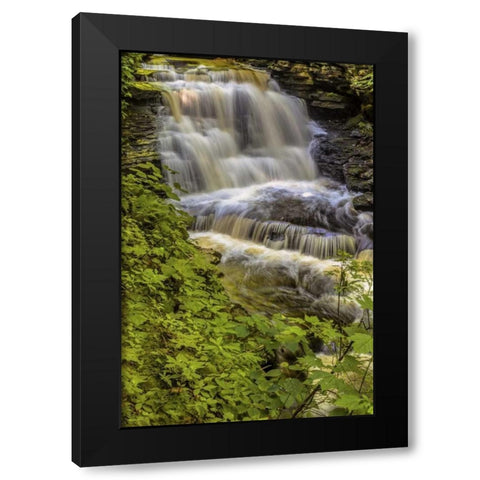 Pennsylvania, Ricketts Glen SP Delaware Falls Black Modern Wood Framed Art Print by OBrien, Jay