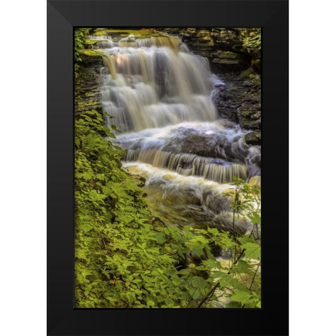 Pennsylvania, Ricketts Glen SP Delaware Falls Black Modern Wood Framed Art Print by OBrien, Jay