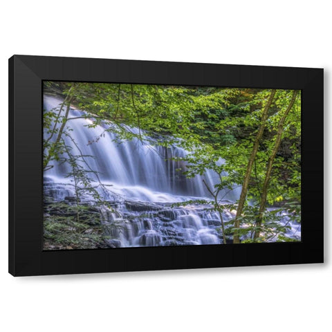 PA, Benton, Ricketts Glen SP Mohawk Falls Black Modern Wood Framed Art Print with Double Matting by OBrien, Jay