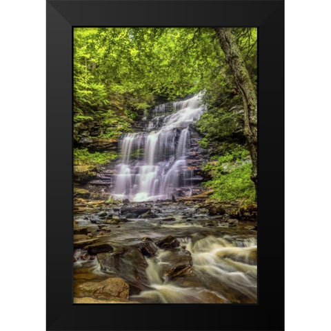 Pennsylvania, Ricketts Glen SP Mohican Falls Black Modern Wood Framed Art Print by OBrien, Jay