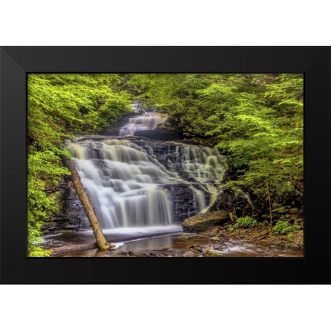 Pennsylvania, Ricketts Glen SP Mohican Falls Black Modern Wood Framed Art Print by OBrien, Jay