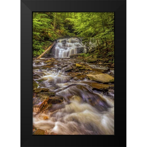 Pennsylvania, Ricketts Glen SP Mohican Falls Black Modern Wood Framed Art Print by OBrien, Jay