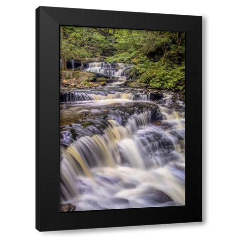 Pennsylvania, Ricketts Glen SP Delaware Falls Black Modern Wood Framed Art Print with Double Matting by OBrien, Jay