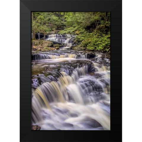 Pennsylvania, Ricketts Glen SP Delaware Falls Black Modern Wood Framed Art Print by OBrien, Jay