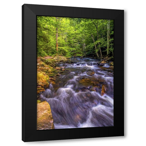 Pennsylvania, Ricketts Glen SP Kitchen Creek Black Modern Wood Framed Art Print with Double Matting by OBrien, Jay