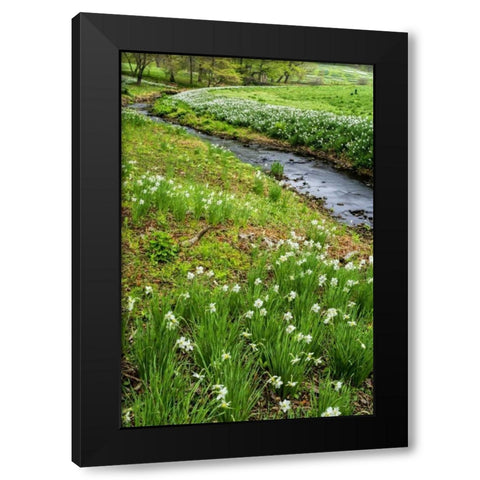 USA, Pennsylvania Spring scenic Black Modern Wood Framed Art Print by OBrien, Jay