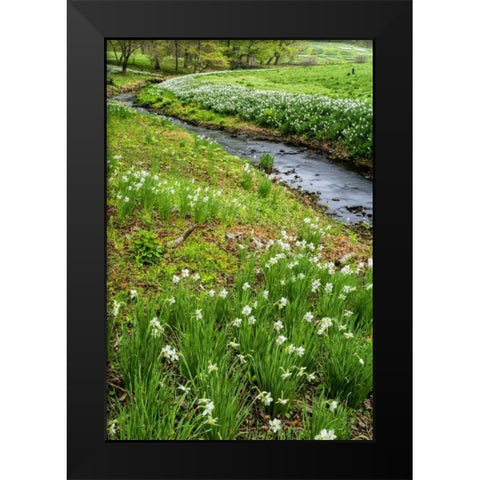 USA, Pennsylvania Spring scenic Black Modern Wood Framed Art Print by OBrien, Jay
