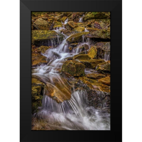 Pennsylvania, Ricketts Glen SP Kitchen Creek Black Modern Wood Framed Art Print by OBrien, Jay