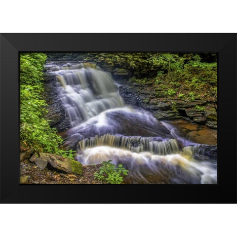 Pennsylvania, Ricketts Glen SP Delaware Falls Black Modern Wood Framed Art Print by OBrien, Jay