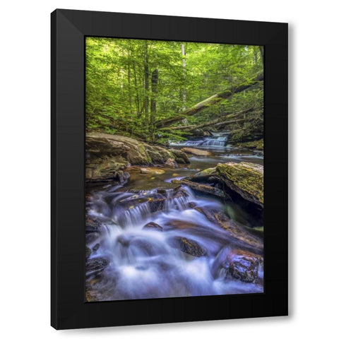 Pennsylvania, Ricketts Glen SP Kitchen Creek Black Modern Wood Framed Art Print with Double Matting by OBrien, Jay