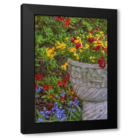 USA, Pennsylvania Flower scenic Black Modern Wood Framed Art Print with Double Matting by OBrien, Jay