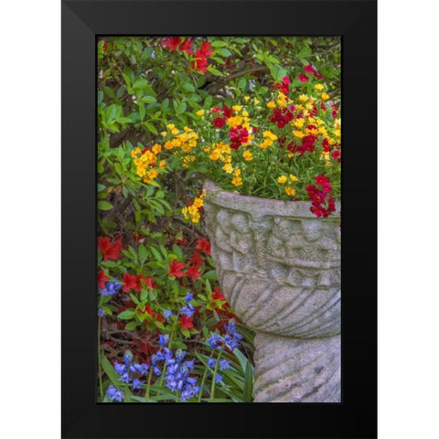 USA, Pennsylvania Flower scenic Black Modern Wood Framed Art Print by OBrien, Jay