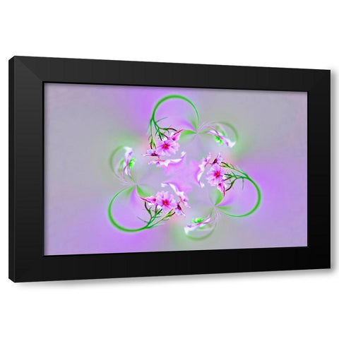 Drummond Phlox-Hilton Head Island-South Carolina Black Modern Wood Framed Art Print by Jones, Adam