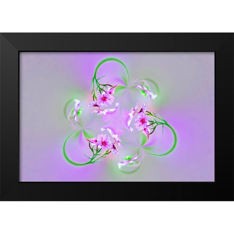 Drummond Phlox-Hilton Head Island-South Carolina Black Modern Wood Framed Art Print by Jones, Adam