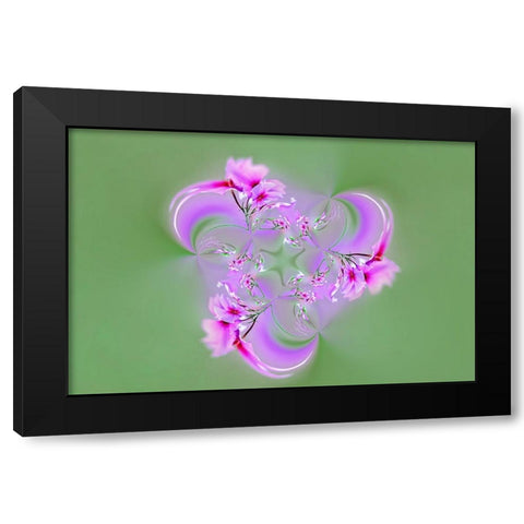 Drummond Phlox-Hilton Head Island-South Carolina Black Modern Wood Framed Art Print by Jones, Adam