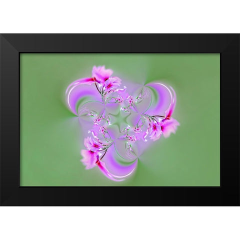 Drummond Phlox-Hilton Head Island-South Carolina Black Modern Wood Framed Art Print by Jones, Adam