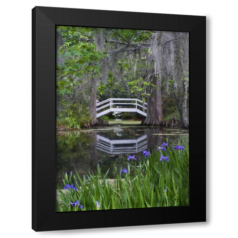 South Carolina, Wood footbridge reflects in pond Black Modern Wood Framed Art Print with Double Matting by Rotenberg, Nancy