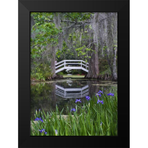 South Carolina, Wood footbridge reflects in pond Black Modern Wood Framed Art Print by Rotenberg, Nancy