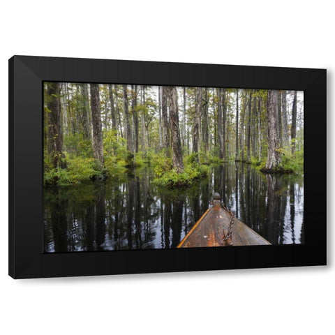 South Carolina Boat bow in cypress swamp Black Modern Wood Framed Art Print by Paulson, Don