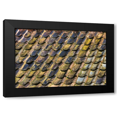 SC, Charleston Roof tiles on Plantation building Black Modern Wood Framed Art Print by Paulson, Don