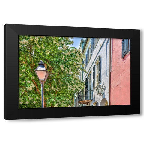 Usa-South Carolina-Charleston Black Modern Wood Framed Art Print by Looney, Hollice