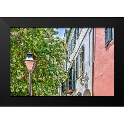 Usa-South Carolina-Charleston Black Modern Wood Framed Art Print by Looney, Hollice