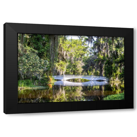 USA- South Carolina- Charleston. Magnolia Plantation Black Modern Wood Framed Art Print by Looney, Hollice