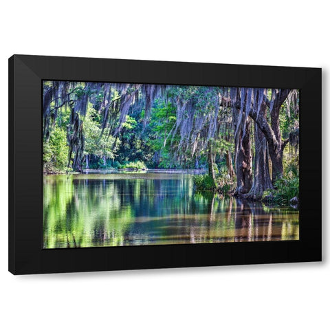 USA- South Carolina- Charleston. Magnolia Plantation Black Modern Wood Framed Art Print by Looney, Hollice