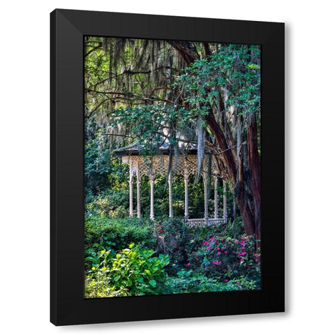 USA- South Carolina- Charleston. Magnolia Plantation Black Modern Wood Framed Art Print by Looney, Hollice