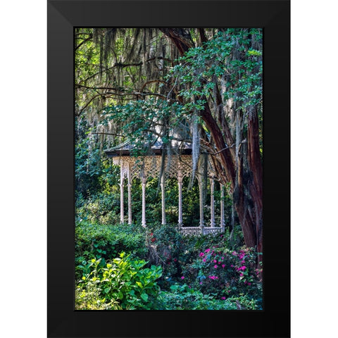 USA- South Carolina- Charleston. Magnolia Plantation Black Modern Wood Framed Art Print by Looney, Hollice