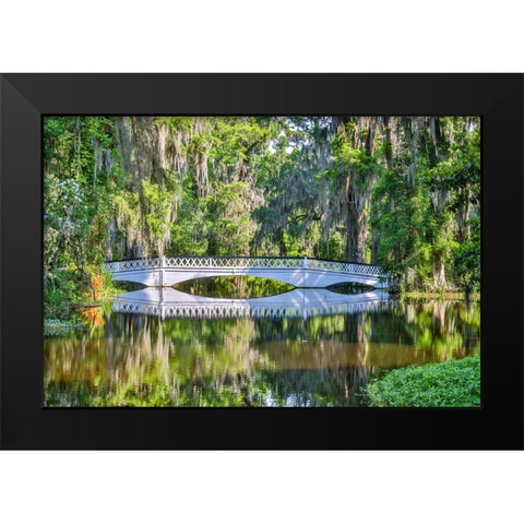 USA- South Carolina- Charleston. Magnolia Plantation Black Modern Wood Framed Art Print by Looney, Hollice