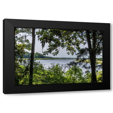 USA- South Carolina- Charleston. Middleton Plantation Black Modern Wood Framed Art Print by Looney, Hollice