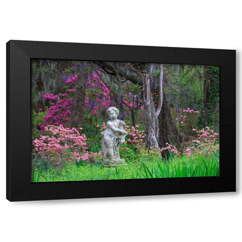 South Carolina-Charleston Azaleas and wisteria blooming at Magnolia Gardens Black Modern Wood Framed Art Print with Double Matting by Wells, Joanne