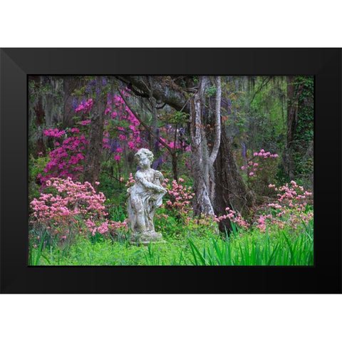 South Carolina-Charleston Azaleas and wisteria blooming at Magnolia Gardens Black Modern Wood Framed Art Print by Wells, Joanne