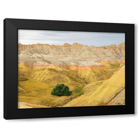 South Dakota- Badlands National Park. Badlands rock formations- Yellow Mounds Black Modern Wood Framed Art Print by Wild, Jamie and Judy