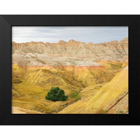 South Dakota- Badlands National Park. Badlands rock formations- Yellow Mounds Black Modern Wood Framed Art Print by Wild, Jamie and Judy