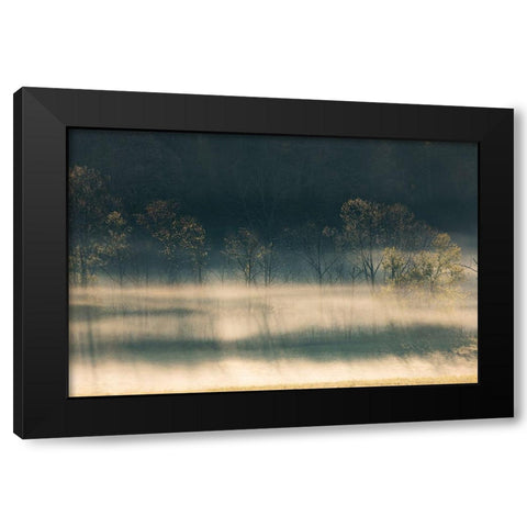 Foggy meadow at sunrise-Cades Cove-Smoky Mountains National Park-Tennessee Black Modern Wood Framed Art Print by Jones, Adam