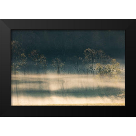 Foggy meadow at sunrise-Cades Cove-Smoky Mountains National Park-Tennessee Black Modern Wood Framed Art Print by Jones, Adam